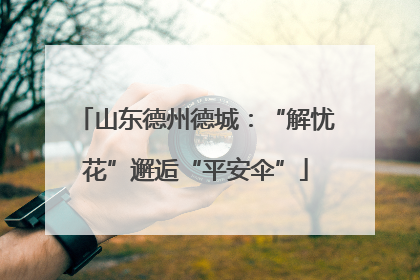 山东德州德城：“解忧花”邂逅“平安伞”