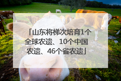 山东将梯次培育1个全球农遗、10个中国农遗、46个省农遗