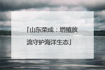 山东荣成：增殖放流守护海洋生态