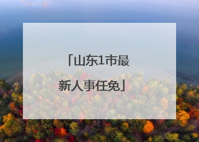 山东1市最新人事任免