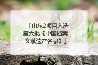 山东2项目入选第六批《中国档案文献遗产名录》