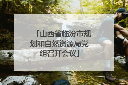 山西省临汾市规划和自然资源局党组召开会议