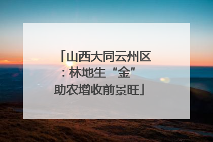 山西大同云州区：林地生“金” 助农增收前景旺