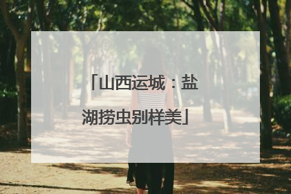 山西运城：盐湖捞虫别样美