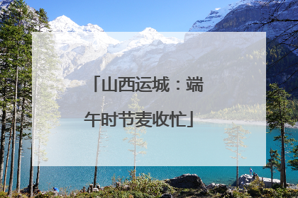 山西运城：端午时节麦收忙