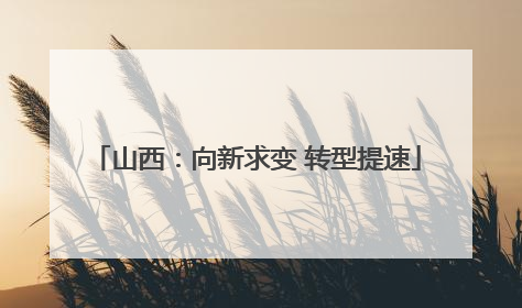 山西：向新求变 转型提速