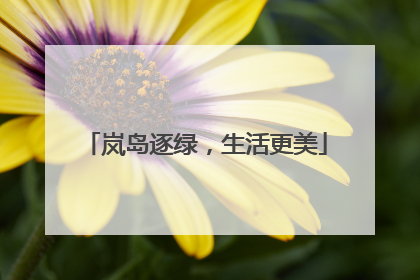 岚岛逐绿，生活更美