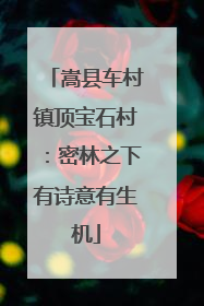 嵩县车村镇顶宝石村：密林之下有诗意有生机