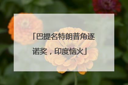 巴提名特朗普角逐诺奖，印度恼火