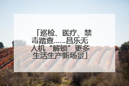 巡检、医疗、禁毒踏查……昌乐无人机“解锁”更多生活生产新场景