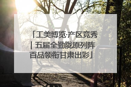工美博览·产区竞秀｜五届全勤陇原列阵 百品领衔甘肃出彩