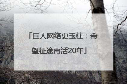 巨人网络史玉柱：希望征途再活20年
