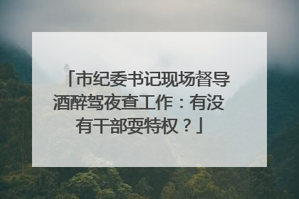 市纪委书记现场督导酒醉驾夜查工作：有没有干部耍特权？