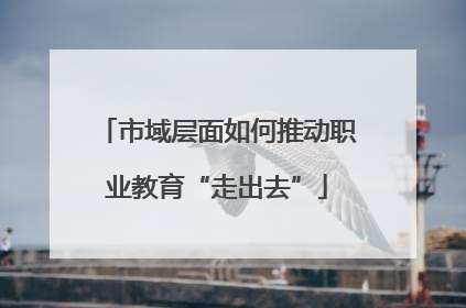 市域层面如何推动职业教育“走出去”