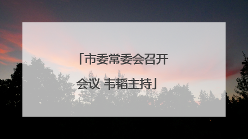 市委常委会召开会议 韦韬主持