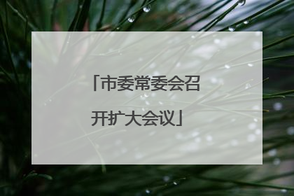 市委常委会召开扩大会议