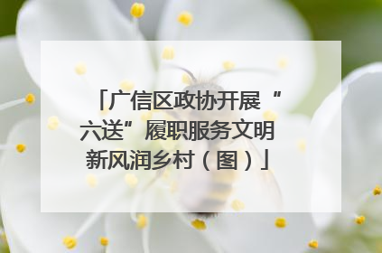 广信区政协开展“六送”履职服务文明新风润乡村（图）