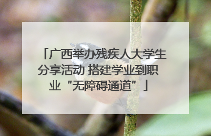 广西举办残疾人大学生分享活动 搭建学业到职业“无障碍通道”