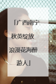 广西南宁秋英绽放 浪漫花海醉游人