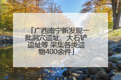广西南宁新发现一批洞穴遗址、大石铲遗址等 采集各类遗物400余件