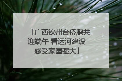 广西钦州台侨胞共迎端午 看运河建设感受家国强大