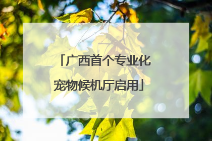 广西首个专业化宠物候机厅启用