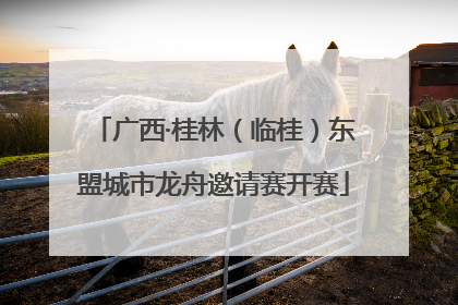 广西·桂林（临桂）东盟城市龙舟邀请赛开赛