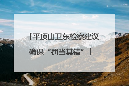 平顶山卫东检察建议确保“罚当其错”