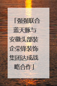 强强联合 蓝天豚与安徽头部装企荣锋装饰集团达成战略合作