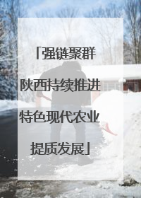 强链聚群 陕西持续推进特色现代农业提质发展