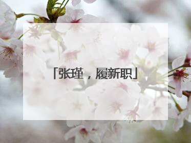 张瑾，履新职