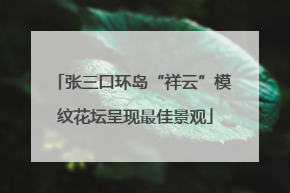 张三口环岛“祥云”模纹花坛呈现最佳景观