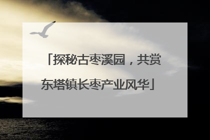 探秘古枣溪园，共赏东塔镇长枣产业风华
