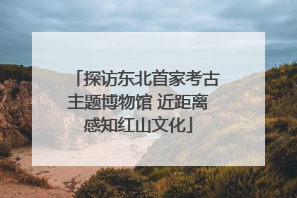 探访东北首家考古主题博物馆 近距离感知红山文化