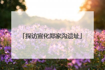 探访宣化郑家沟遗址