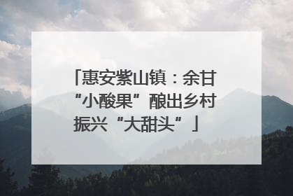 惠安紫山镇：余甘“小酸果”酿出乡村振兴“大甜头”