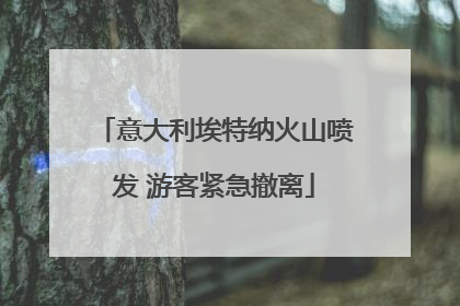意大利埃特纳火山喷发 游客紧急撤离