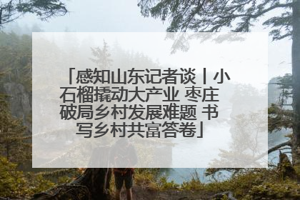 感知山东记者谈丨小石榴撬动大产业 枣庄破局乡村发展难题 书写乡村共富答卷