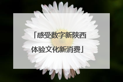 感受数字新陕西 体验文化新消费