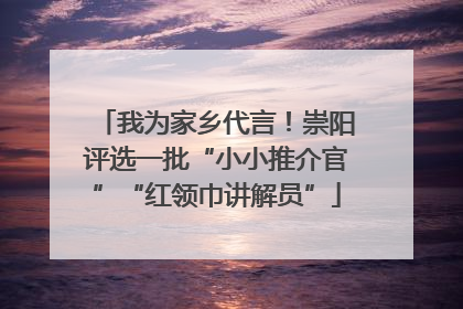我为家乡代言！崇阳评选一批“小小推介官”“红领巾讲解员”