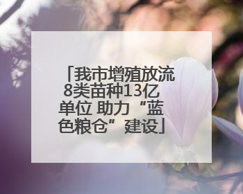 我市增殖放流8类苗种13亿单位 助力“蓝色粮仓”建设