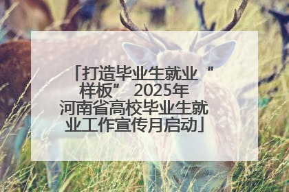 打造毕业生就业“样板” 2025年河南省高校毕业生就业工作宣传月启动