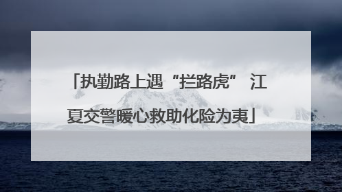 执勤路上遇“拦路虎” 江夏交警暖心救助化险为夷