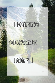 拉布布为何成为全球顶流？