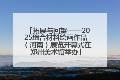 拓展与回望——2025综合材料绘画作品（河南）展览开幕式在郑州美术馆举办