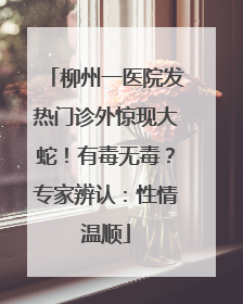 柳州一医院发热门诊外惊现大蛇！有毒无毒？专家辨认：性情温顺