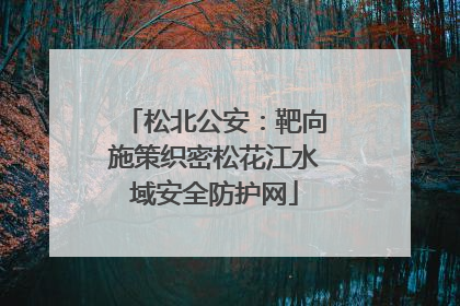 松北公安：靶向施策织密松花江水域安全防护网