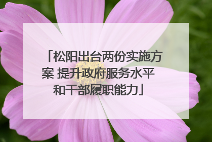 松阳出台两份实施方案 提升政府服务水平和干部履职能力