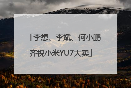 李想、李斌、何小鹏齐祝小米YU7大卖