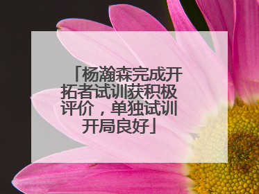 杨瀚森完成开拓者试训获积极评价，单独试训开局良好